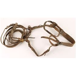 Calvary Bridle & Bit