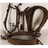 Image 1 : Vintage Horse Tack Lot