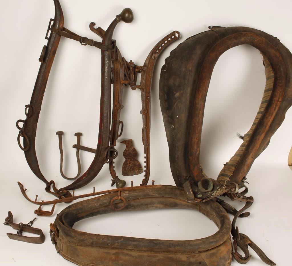 Vintage Horse Tack Lot