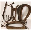 Image 2 : Vintage Horse Tack Lot
