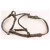 Image 1 : Leather headstall