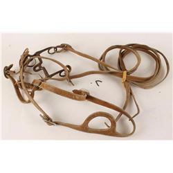 Collection of 2 Bridles