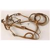 Image 1 : Collection of 2 Bridles