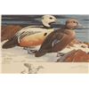 Image 2 : Lot of 2 Fine Art Waterfowl Prints with Stamps