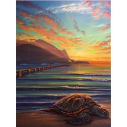 Honu Sunset-Hanalei - KAI Show, Patrick Ching 2016