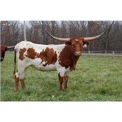 RRR MISS REMEMBER ME 358