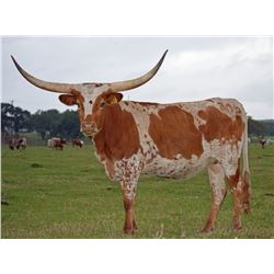 SR MADDEN ' S ABILENE 302