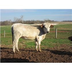 FEN-WAC LITTLE BERTHA