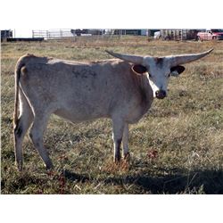 TITANS ARROW EOT 424