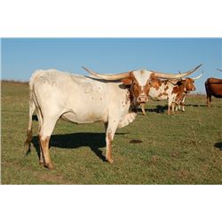 RRR MISS SUPER GWEN 266