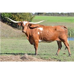 FLAME 'S ANNIE EOT 907