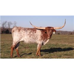 DRAGAR ' S FOXIE EOT