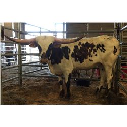 Hubbells Perfect Catch