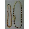 Image 1 : Two beaded necklaces, one amber and one carved ivory and cloisonnT, 24" knotted multi- colored po...