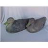 Image 1 : Duck decoys, pair of hollow early fiber ducks by Air Duck with plastic eyes, 14 1/4" long X 6 1/2...