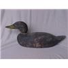 Image 1 : Solid wood canvas back duck with paddle tail, plastic eyes, 1950's, 17" long X 7" high Estimat...
