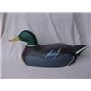 Image 1 : Carved mallard drake, 17" long X 7" high Estimate 100/200...