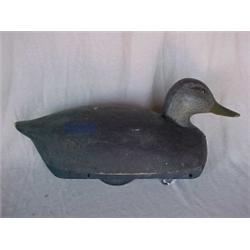 Duck decoy, black duck with glass eyes, center keel, signed Ken Harris, N.Y., 15 3/4" long X 7 1/...