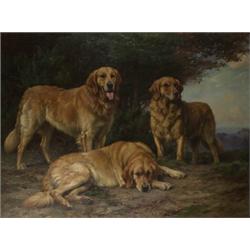 wright barker,YELLOW RUSSIAN RETREIVERS....