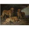 Image 1 : wright barker,YELLOW RUSSIAN RETREIVERS....