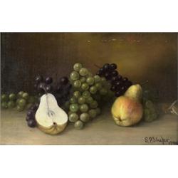 simon p. shafer,STILLLIFE....