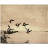 Image 1 : joseph day knapp,READHEADS ALIGHTING....