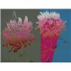 Image 1 : andy warhol,KIKU (Feldman and Defendi 11.308)....