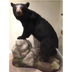 Gladfelter Shoulder Mount Deer Size