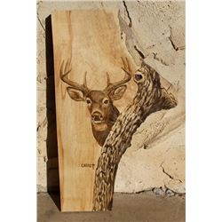 Dan Christ Gallery Wood Stain Whitetail Deer