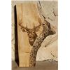 Image 1 : Dan Christ Gallery Wood Stain Whitetail Deer