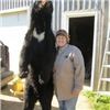 Image 3 : Adairs Outfitting New Brunswick 5 Day Black Bear for 2