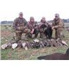 Image 3 : Chesapeake Goose/Duck for 4 on MD's Eastern Shore