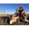 Image 2 : Gardner Ranch Montana Mule or Whitetail for 1 Hunter