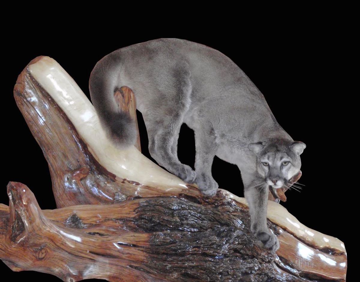 Smiths Taxidermy Lifesize