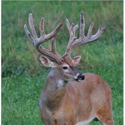 Mountain Run Ranch Deer Hunt in Pennsylvania