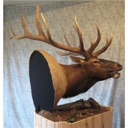 Natures Own Kudu or Elk Shoulder