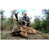 Image 4 : 7 Day Argentinian Hunt with Quebrachal Ranch: Goat, Ram and Multihorn for 2 Hunters Each