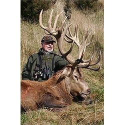 Kaweka New Zealand Red Stag 5 Day Hunt