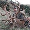 Image 3 : Kaweka New Zealand Red Stag 5 Day Hunt
