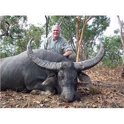 Muckadilla Safaris Australian Bronze Medal Water Buffalo