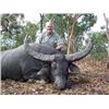 Image 1 : Muckadilla Safaris Australian Bronze Medal Water Buffalo