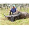 Image 2 : Muckadilla Safaris Australian Bronze Medal Water Buffalo