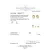 Image 3 : 1.50ctw Diamond Stud Earrings - 14KT Yellow Gold