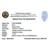 Image 2 : 7.31ctw Pear Aquamarine Parcel