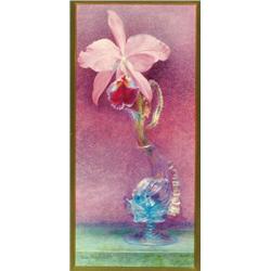 Helen Thornycroft (1848-1912), British, ORCHID IN A GLASS DOLPHIN VASE, Watercolour; signed low...