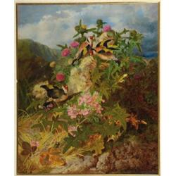 John Wainwright (Wainewright) (fl.1860- d.1869), British, FINCHES AND A BEETLE IN A THISTLE PAT...