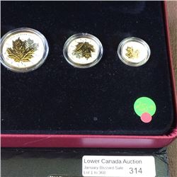 RCM Product: Fine Silver Fractional Set of the Maple Leaf 2014.