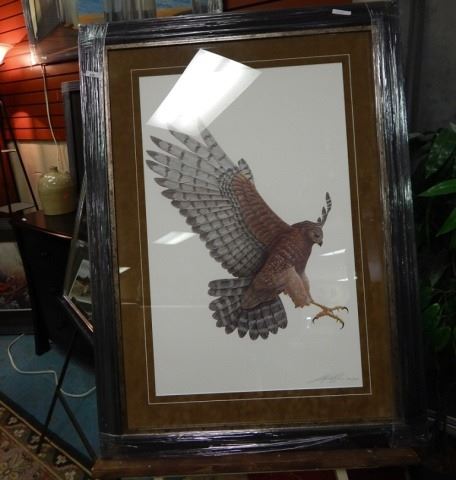 FRAMED LIMITED EDITION PRINT - RED TAILED HAWK - LUKE RAFFIN - GALLERY ...