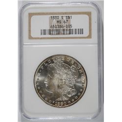 1880-S MORGAN DOLLAR NGC MS-67 BLAST WHITE!!!