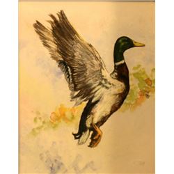 John Jones, Watercolor